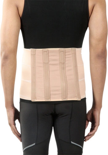 Enforcer Back Belt  