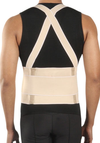 Trainer Back Belt