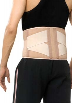 Director's Choice Back Support 